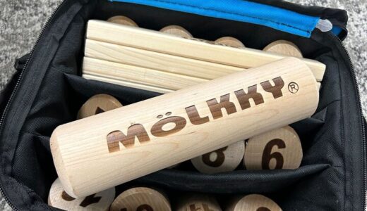 【体験談あり】巷で話題のモルックを徹底解説！実際に買って遊んでみた感想